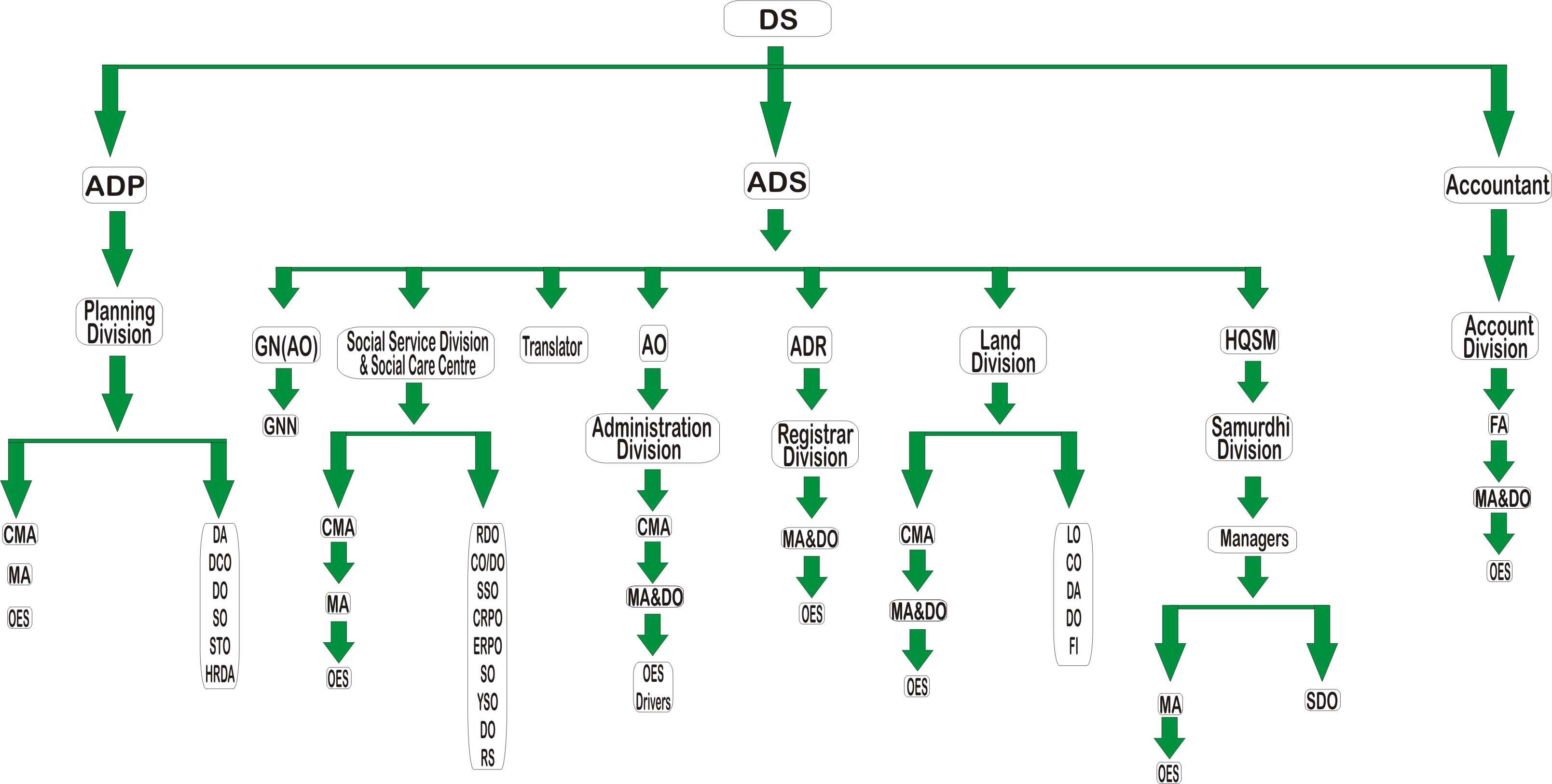 organaizational chart