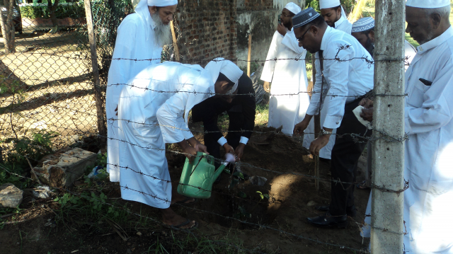 Wanaropa National Tree Planting Programme-2018