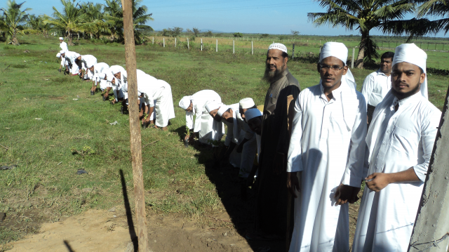 Wanaropa National Tree Planting Programme-2018