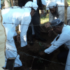Wanaropa National Tree Planting Programme-2018