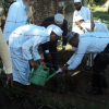 Wanaropa National Tree Planting Programme-2018