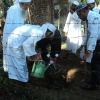 Wanaropa National Tree Planting Programme-2018