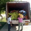 Food Pack to the Lockdown And Quarantine Families